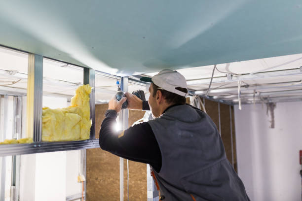 Best Geographic-Specific Insulation Services in Burt, MI