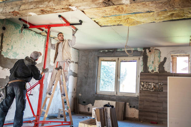 Best Cellulose Insulation in Burt, MI